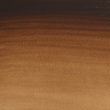 Cotman Vandyke Brown