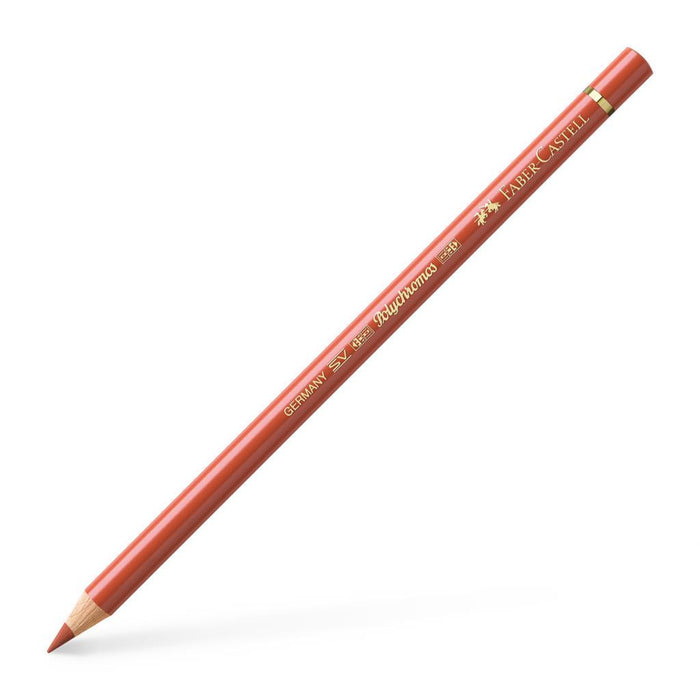 Polychromos Colour Pencils
